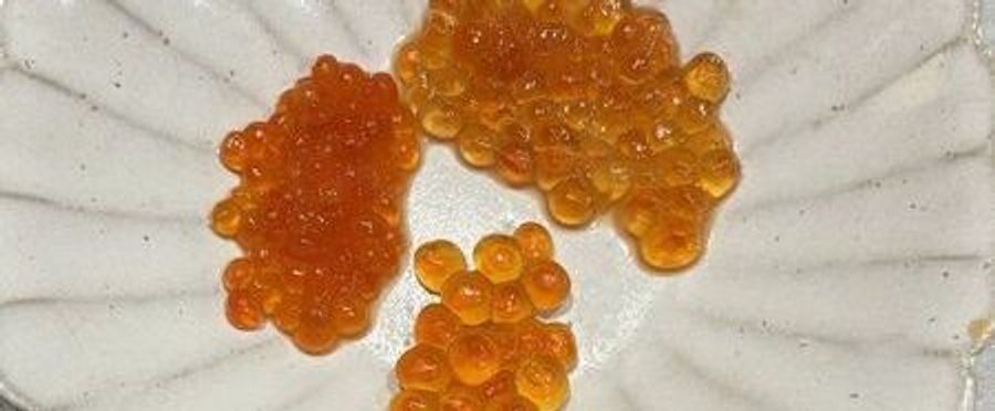 Shrinking Pearls of the Sea: The Mystery Behind Smaller Salmon Roe Sizes in Japan