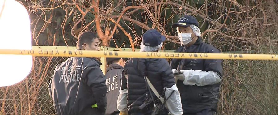 Mystery Unfolds as Skeletal Remains Discovered in Local Park in Metropolis