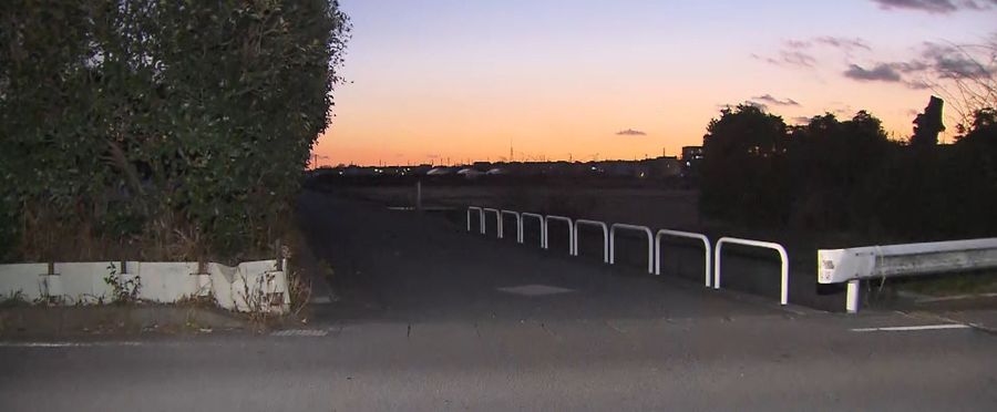 Teen's Tragic Collision in School Commute