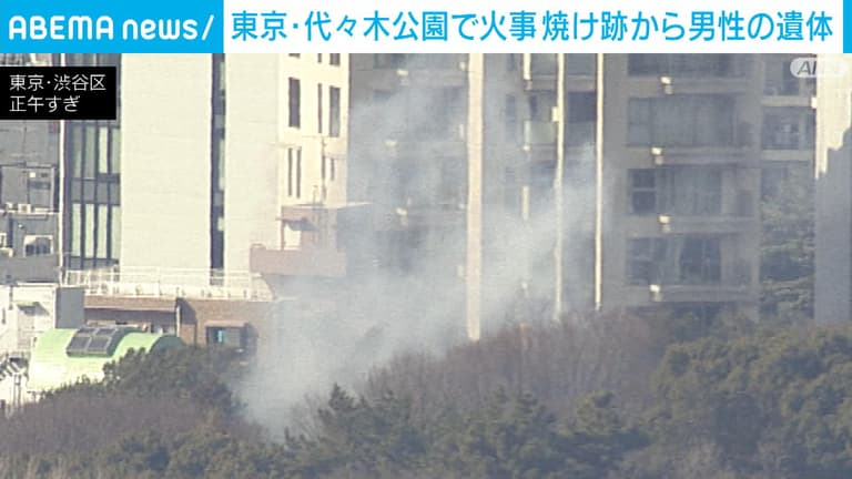 Unraveling the Mystery: Blaze in Yoyogi Park Reveals Unfortunate Casualty