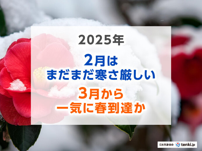 Sudden Blossom: Japan Springs into Warmer Weather Earlier Than Expected