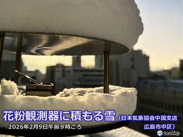 Spring in Full Swing: Beware of Rapid Snowmelt and Pollen!