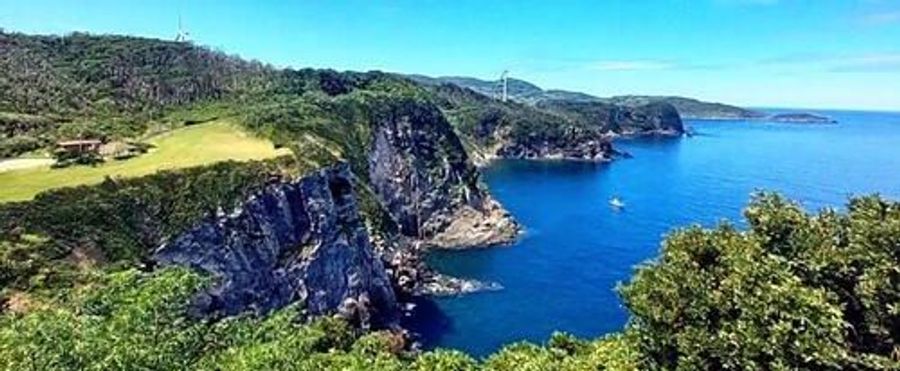 Pollen Allergies? Find Solace in Popular "Pollen-Free Sites