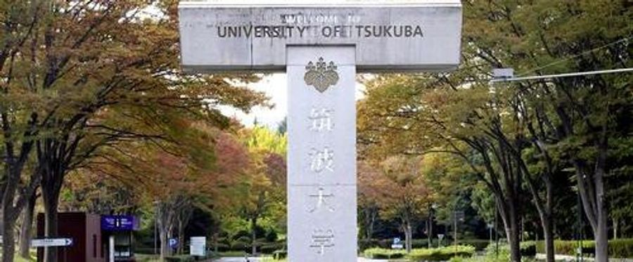 University Apologizes for Staff's Inappropriate Posts: A Lesson Learned in Professionalism