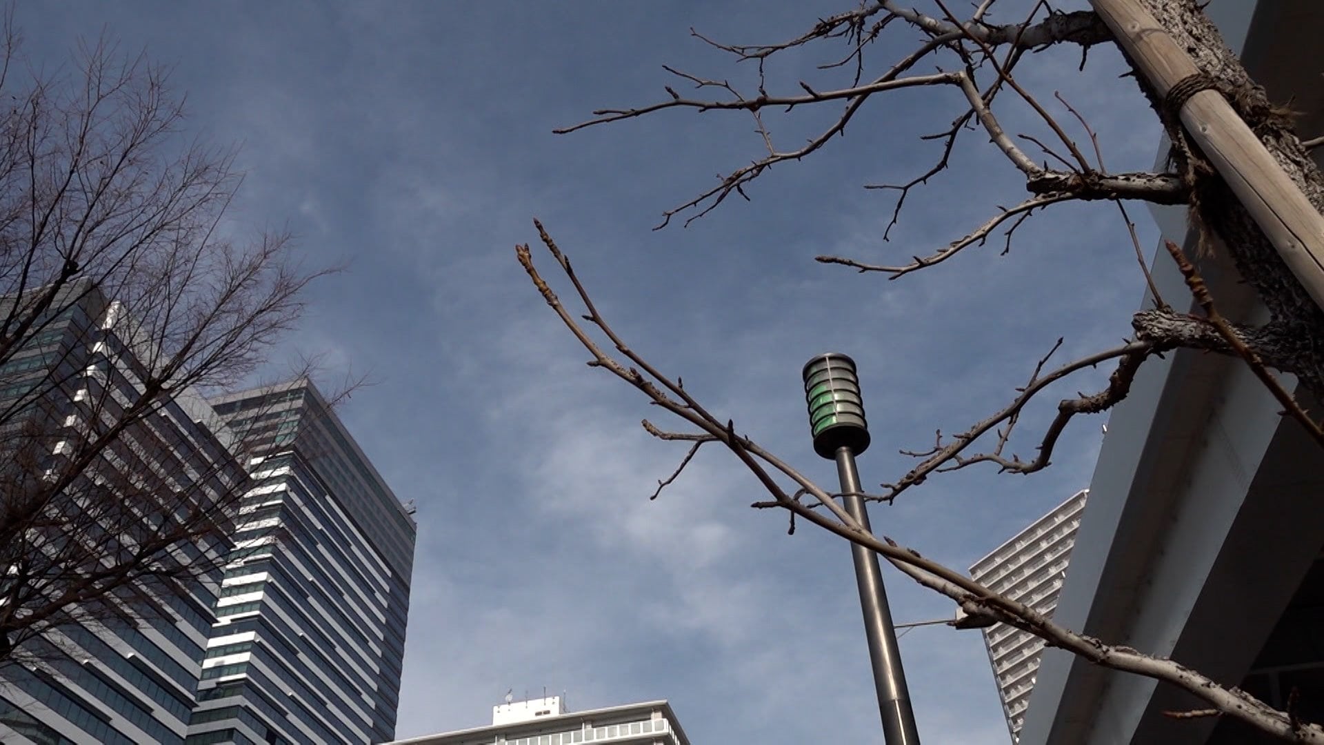 Dry Spell Prolongs Over The Pacific Side of Japan