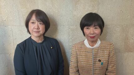 Five Constitutional Democrats Break Ranks in Prime Minister Nomination