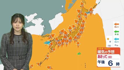 Spring in Full Swing: Watch Out for Pollen and Yellow Dust!