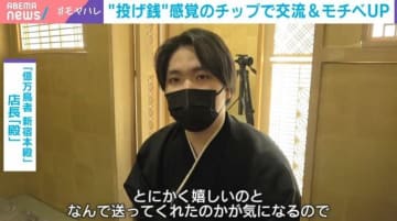 Japan's Unique Chip Technology: A Silent Revolution?