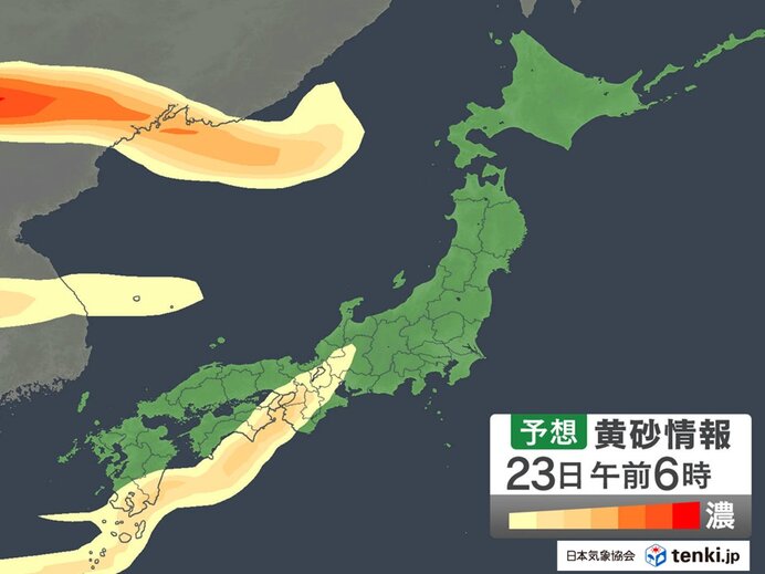 Pollen Tsunami Strikes Eastern Japan