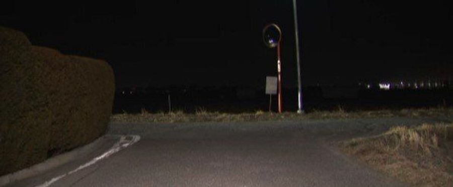 Child Cyclist's Harrowing Incident Sparks Improvements in Road Safety