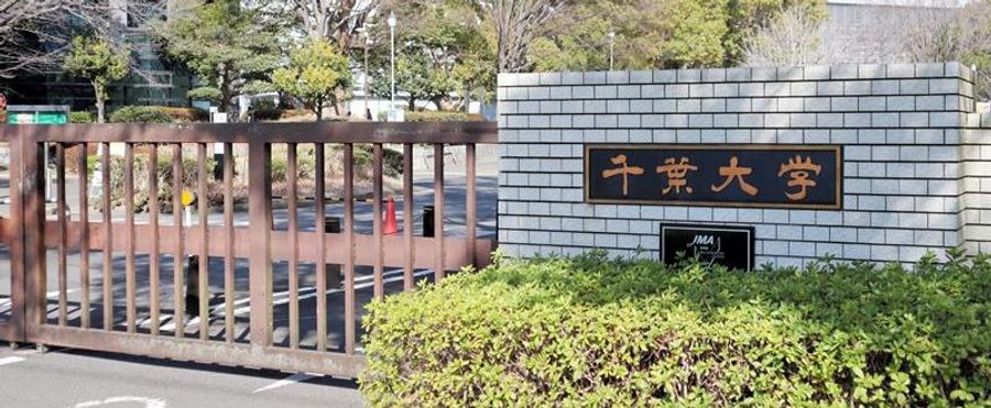 Absent Professors During Thesis Season: Student Concerns Rise