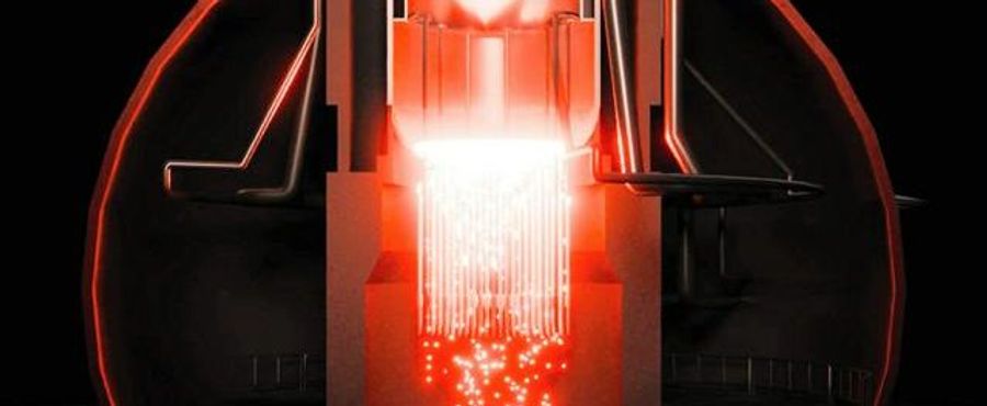 Fukushima's Unsolved Riddles Garner Global Attention