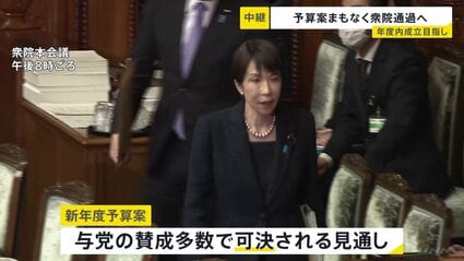 New Fiscal Year, New Budget: Japanese House of Representatives Greenlights Plan