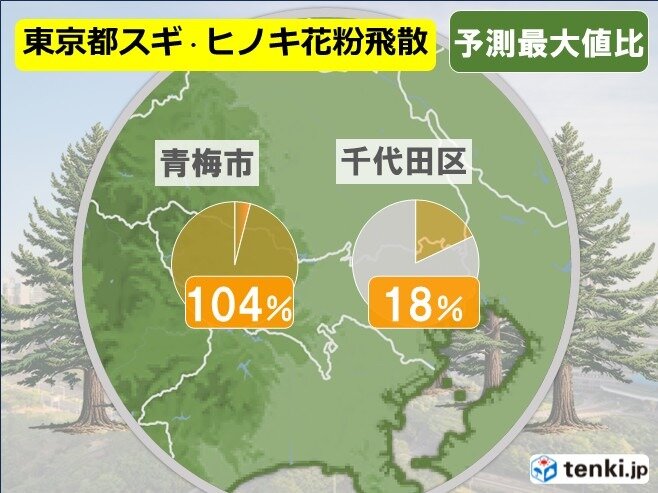 Pollen Storm Strikes Again! When Will It End?