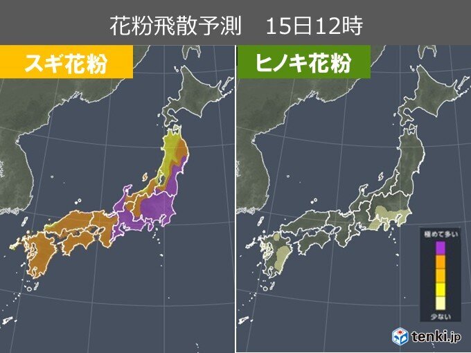 Pollen Storm Hits Kanto and Beyond: Extreme Levels Forecast for the 15th!