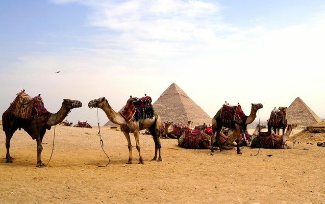Pyramids Deserted: Camel Herders Twiddling Thumbs