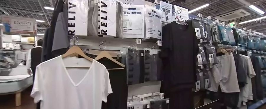 Thrust in Japanese Recovery Software Market Paints a Bigger Picture