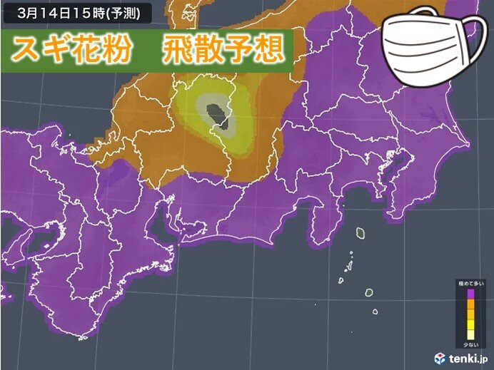 Blossom Beware: Heavy Pollen Surge Predicted for 16th and 17th