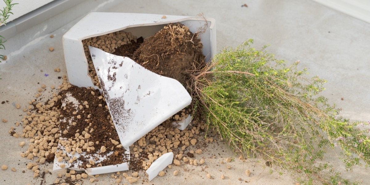 Balcony Blunders: Who’s Picking Up the Tab?