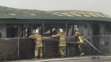 Major Fire Strikes Pig Farm Holding Over 5000 Swine