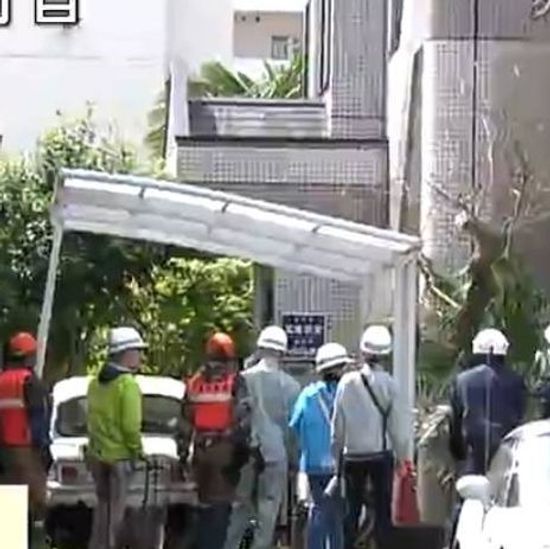 Paws in the City: Shocked Citizens Encounter a Bear in Urban Japan