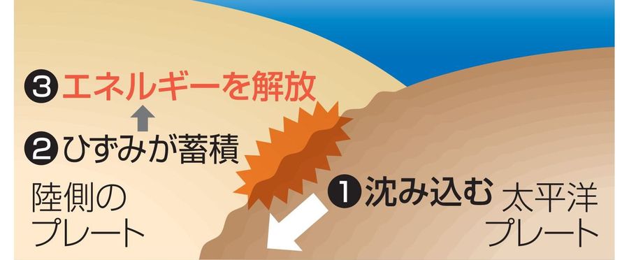 Tremors and Trembles: Unrelenting Seismic Activity in Sanriku Sea