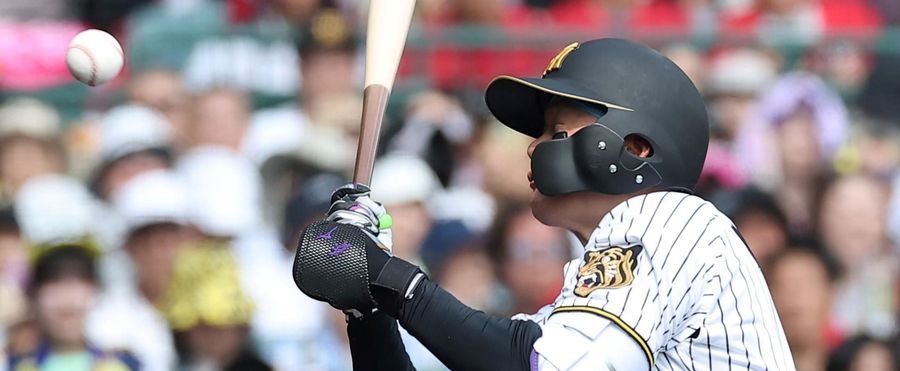 Unintended Blow: Rising Star Morishita of Hanshin Tigers Hit by a Pitch, Fans React