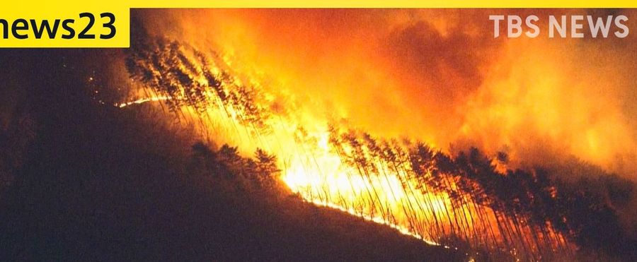 Against the Flames: Rampant Wildfires Spark Concern