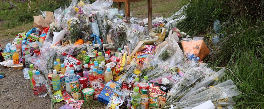 Floral Tribute Removed in Kyoto Amid Bear Scare