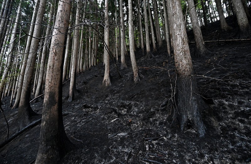 Mountain Fire in Otsuchi Overcome, Iwate Breathes a Relief