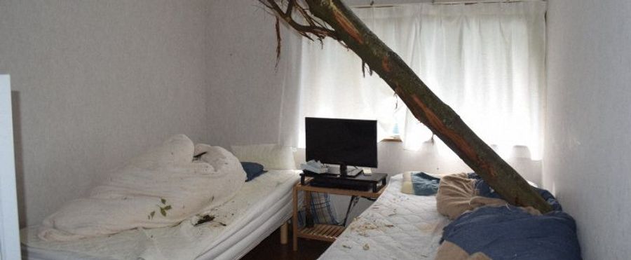From Branches to Bed Sheets: The Tale of a Frightful Night