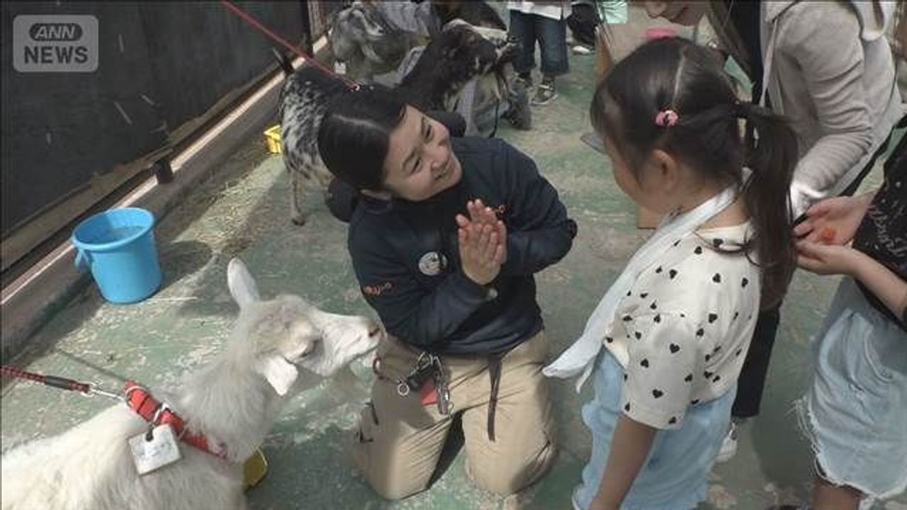 Emerging Trends: Japan Re-evaluates Close Encounters of the Furry Kind