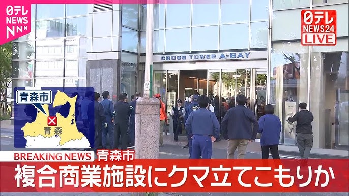 Unusual Standoff: Bear Holed Up in Aomori Building!