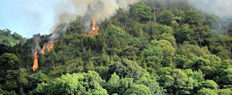 Hiroshima Battles Raging Wildfire