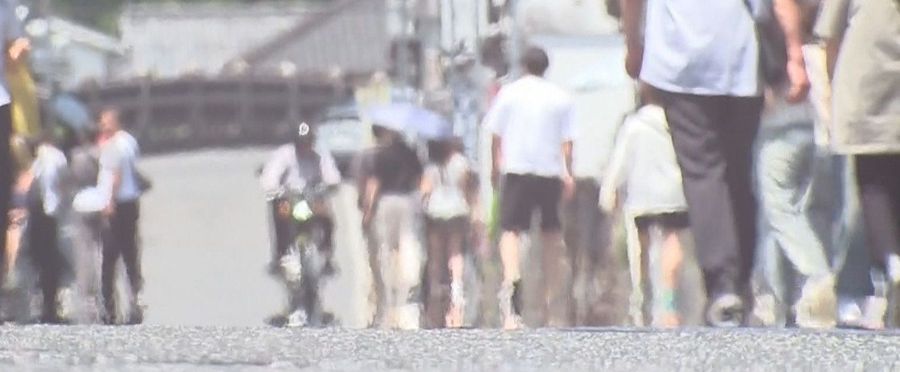 Heatwave Strikes: Japan Witnesses First 35°C Temperature of the Year in Hita City