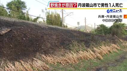 Tragic Field Inferno: Unexpected Victim of Forest Burning