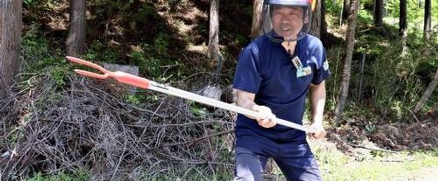 Rise in Bear Attacks Sparks Surge in Security Pole Orders