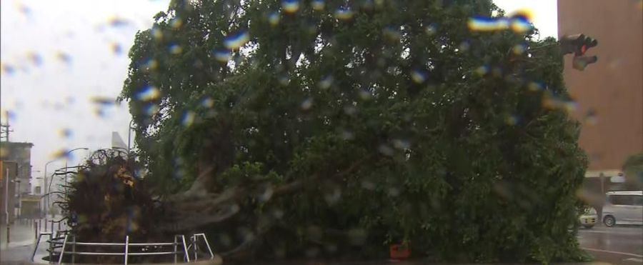 Typhoon Wraths Okinawa: A Dozen Injured Amidst Strong Winds