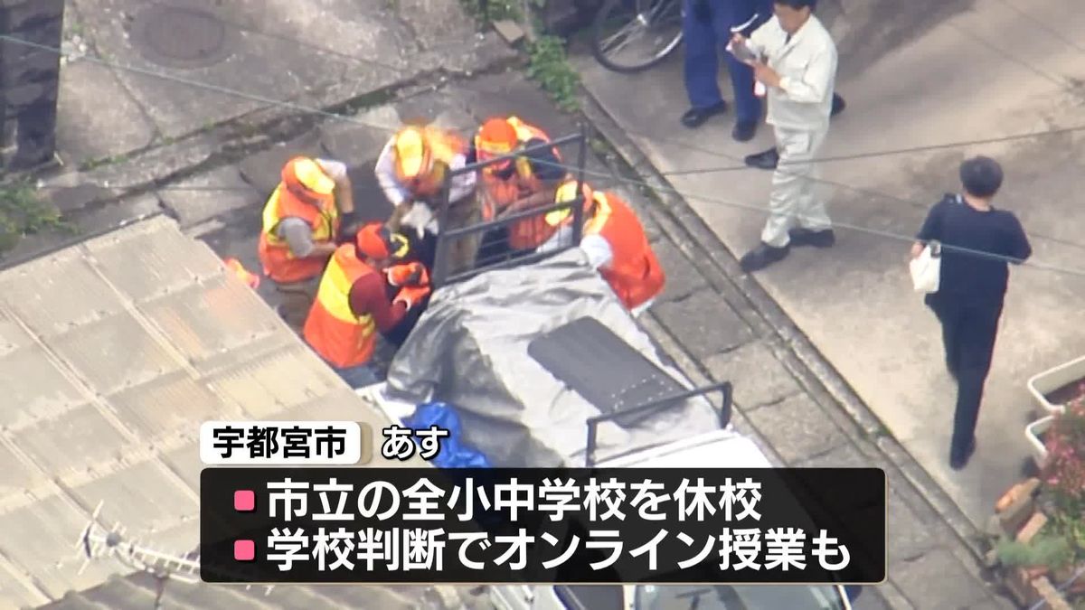 Utsunomiya Calm Down: Bear Captured, Schools Resume