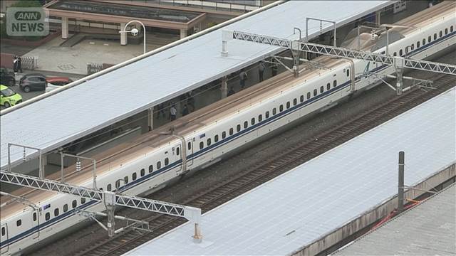 Unexpected Break: Special Leisure Trains Deployed During Bullet Train Delay
