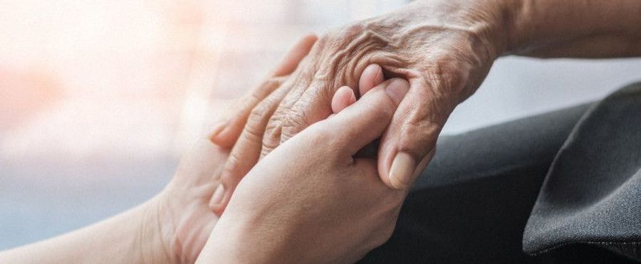 Final Barriers Crumble: Japan's Social Security Reform Nears Consensus