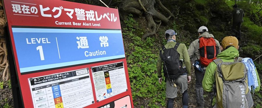 Brown Bear Encounter: Mount Rausu Trails Welcomes Adventurers Again!