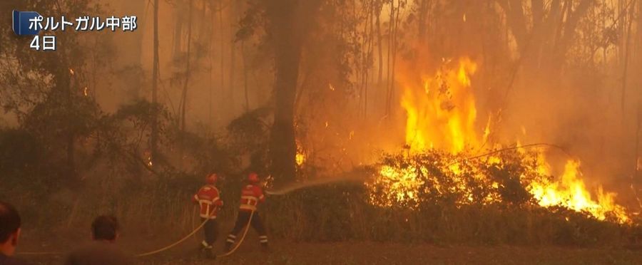 Heatwave Triggers Wave of Wildfires Across Europe