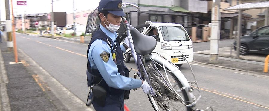 Hit-and-Run Tragedy: Young Woman's Life Cut Short, Suspect in Custody