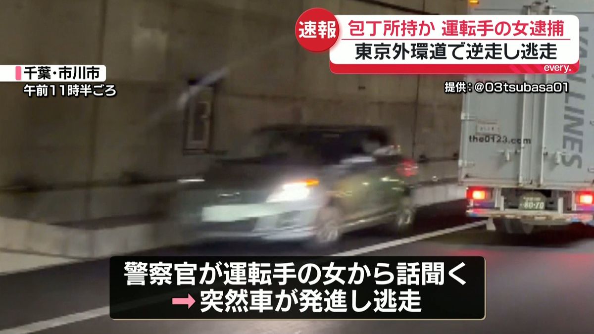 Daring Highway Dash: Woman Evades Police on Tokyo's Periphery